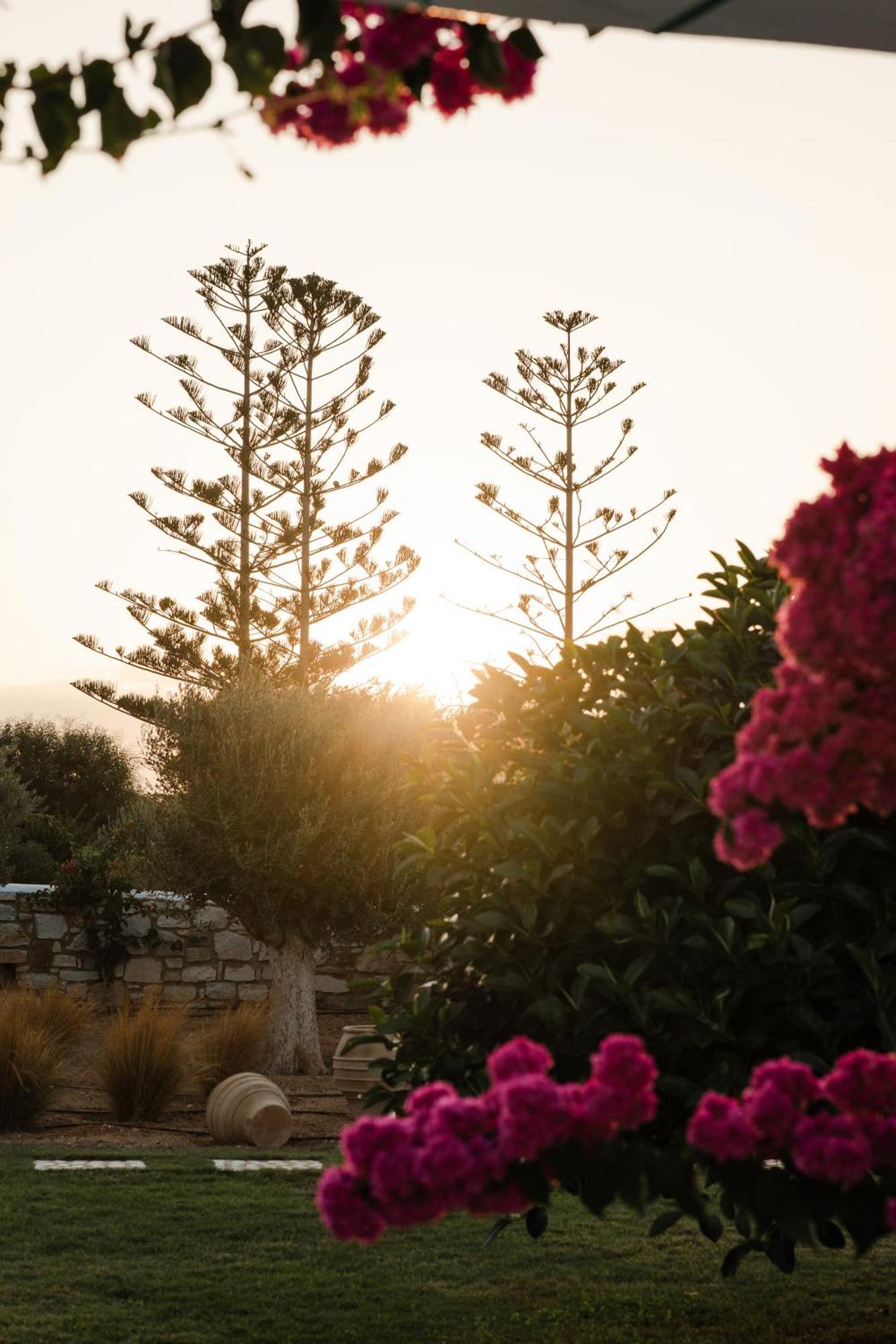 White Dunes Luxury Boutique Hotel Σάντα Μαρία Εξωτερικό φωτογραφία