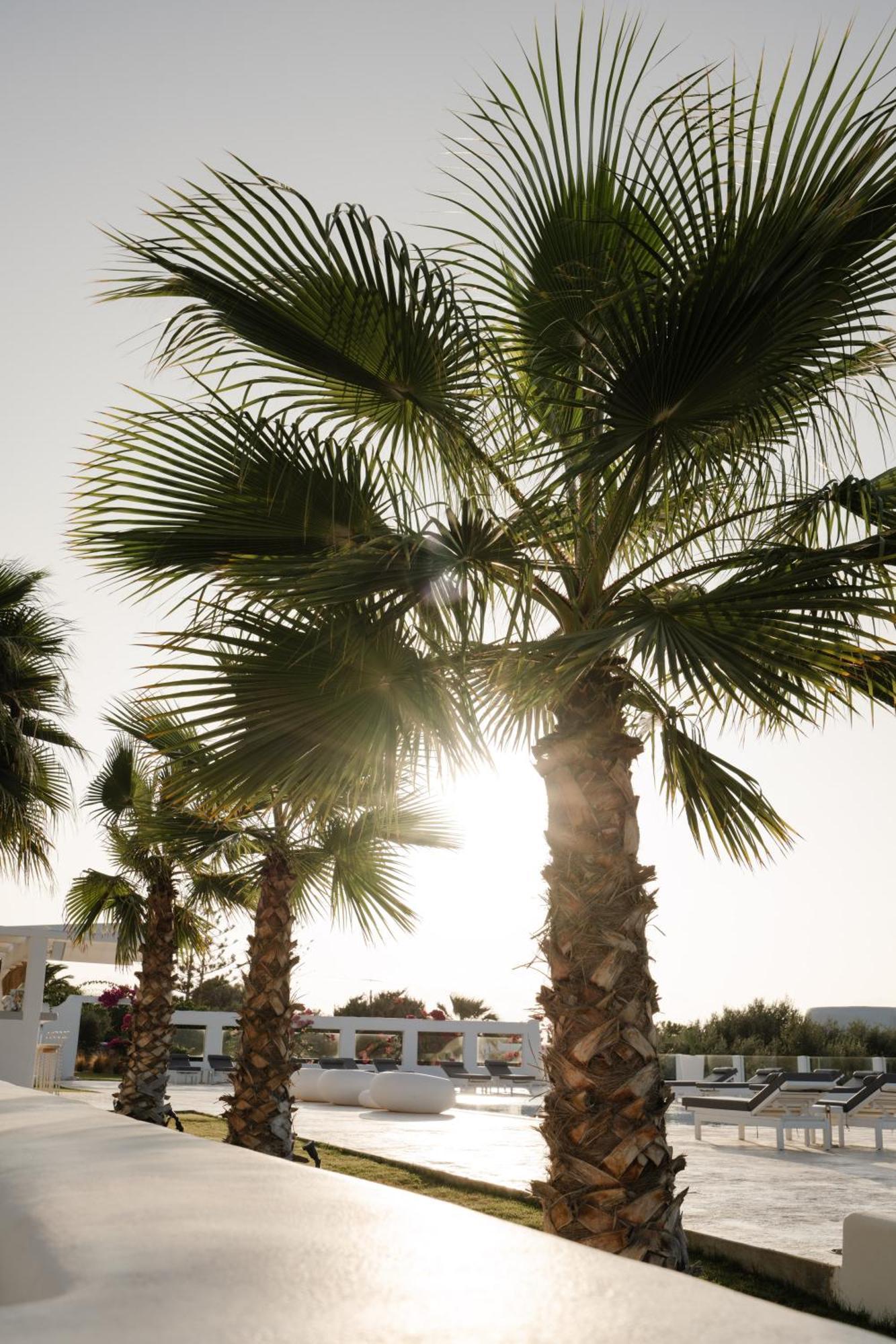 White Dunes Luxury Boutique Hotel Σάντα Μαρία Εξωτερικό φωτογραφία